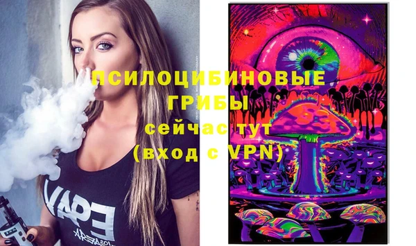 дживик Гусь-Хрустальный