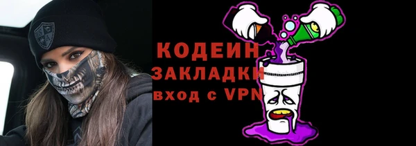 круглые Гусев