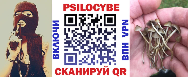закладка  Цоци-Юрт  Псилоцибиновые грибы мицелий 