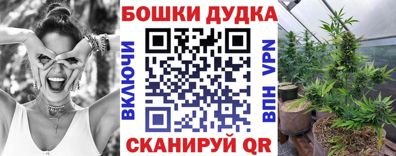 Конопля гибрид  Цоци-Юрт 